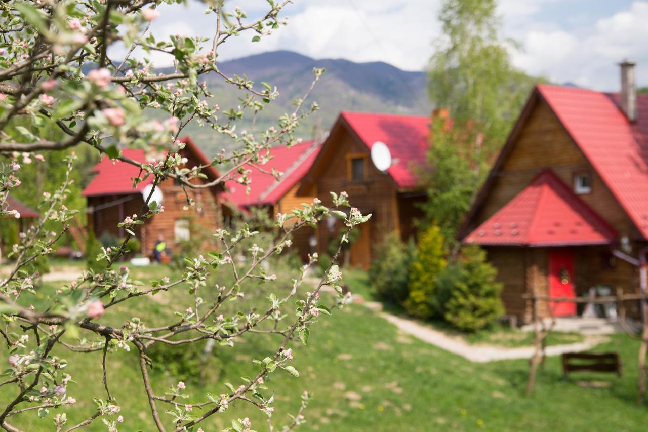 Teremok Guest House Vyshka Extérieur photo